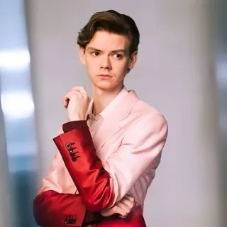 👤 Thomas Brodie-Sangster acteur, portrait, homme, célébrité, mode telegram sticker