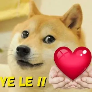 ♥️ YE LE !!! doge, chó, meme, trái tim, tình yêu, dễ thương telegram sticker