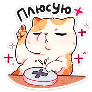 ❤️ ПЛЮСУЮ kat, akkoord, schattig, sticker, duim omhoog whatsapp sticker