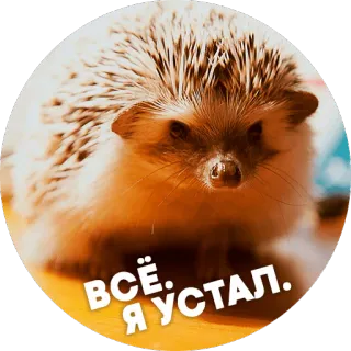 😒 ВСЁ. Я УСТАЛ. hérisson, animal, fatigué, russe, mignon telegram sticker