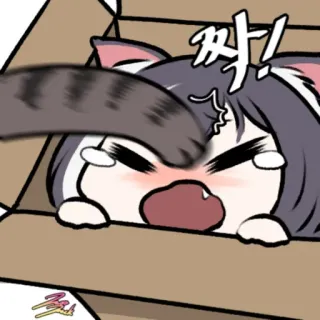 ❤️ 짜! cat, box, animal, surprise, cartoon, korean telegram sticker