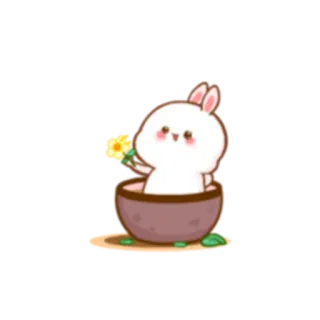 😬 słodki, królik, kwiat, zwierzę, wiosna whatsapp sticker