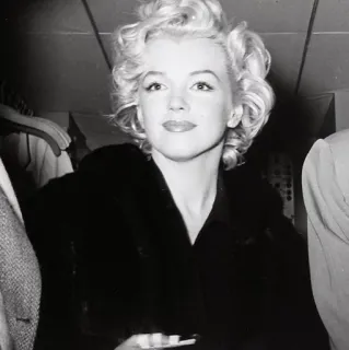 🥀 Marilyn Monroe Мэрилин Монро, актриса, блондинка, винтаж, знаменитость telegram sticker