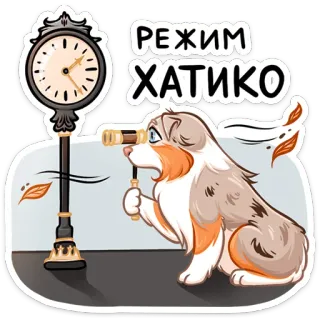 ⏺ РЕЖИМ
ХАТИКО собака, ожидание, часы, Хатико, режим, русский, телескоп, терпение telegram sticker