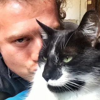 😘 Katze, Haustier, Tier, Selfie, Mann, Porträt, Schwarz-weiße Katze telegram sticker