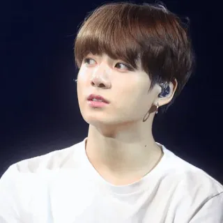 🍪 Jungkook K-pop, idol, singer, BTS, Korean, portrait, music whatsapp sticker