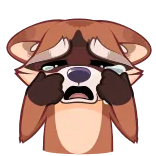 😭 guaxinim, triste, chorar, emoção, animal, chateado, fofo telegram sticker