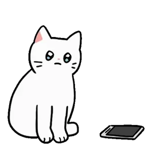 💬 gato, triste, teléfono, animal, esperando, dispositivo digital whatsapp sticker