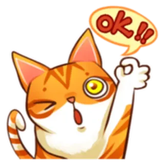 👌 ok!! kat, oké, ok, dier, sticker, knipogend, goedkeuring telegram sticker