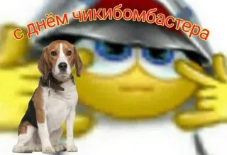 🙄 с днем чикибомбастера dog, beagle, funny, celebration, meme, russian telegram sticker