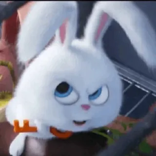 🐰 Snowball The Secret Life of Pets Hase, Tier, Cartoon, Häschen, weiß telegram sticker