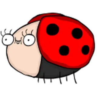 😊 coccinella, insetto, cartone animato, bizzarro, divertente whatsapp sticker