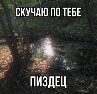 🤧 СКУЧАЮ ПО ТЕБЕ
ПИЗДЕЦ Natur, Wald, Wasser, Russisch, Text, Fluchen telegram sticker
