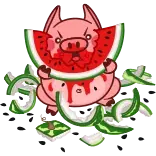 🍉