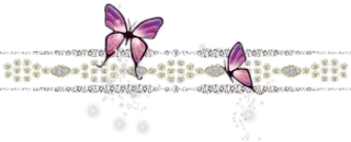 📎 vlinder, parel, kant, decoratief, bloemen telegram sticker