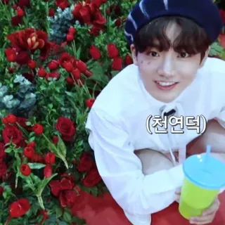 🪐 천연덕 person, blumen, porträt, koreanisch telegram sticker