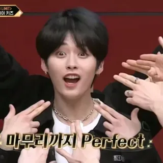 🤪 마무리까지 Perfect kpop, idol, stray kids, coreano, entretenimiento whatsapp sticker