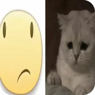 🐱 triste, emoji, gatto, meme, emotivo, infelice telegram sticker