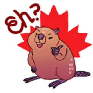 ☝ eh? castoro, Canada, canadese, animale, cartone animato, foglia d'acero telegram sticker