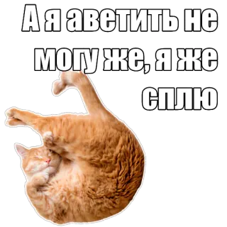 ⛴️ А я аветить не могу же, я же сплю cat, sleeping, funny, animal, orange cat telegram sticker