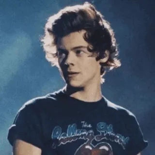 🎵 Harry Styles Harry Styles, One Direction, Singer, Music, Rolling Stones telegram sticker