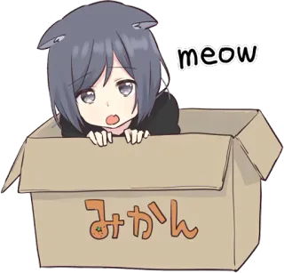🐱 meow みかん anime, cat, box, cartoon whatsapp sticker