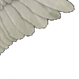 ⭐