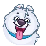 ✅ 개, 강아지, 동물, 만화, 귀여운, 애완동물, 혀, 행복한 whatsapp sticker