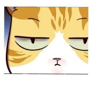 😑 Katze, Tier, Cartoon, Sticker, süß, lustig, Meme telegram sticker