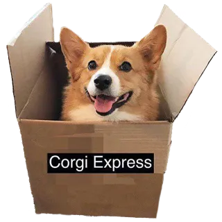 💌 Corgi Express perro, corgi, caja, express, animal, entrega whatsapp sticker