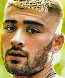 😕 Zayn Malik ゼイン・マリク, 歌手, セレブ, ポートレート telegram sticker