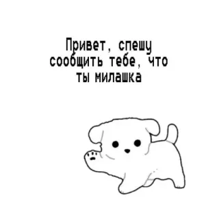 🥛 Привет, спешу сообщить тебе, что ты милашка Hund, süß, Gruß, Nachricht, Tier telegram sticker