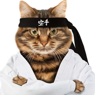 😐 空手 gatto, karate, arti marziali, animale, animale domestico, divertente telegram sticker