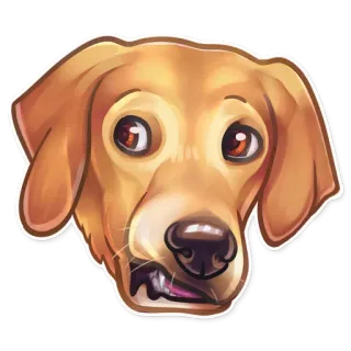 😕 cane, animale, animale domestico, golden retriever, cartone animato, meme, espressione telegram sticker