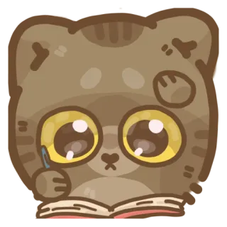 📖 кот, чтение, книга, ручка, милый, животное whatsapp sticker