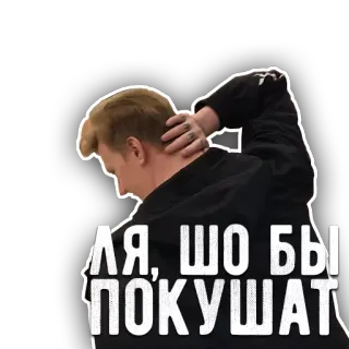 🍔 ЛЯ, ШО БЫ ПОКУШАТЬ ロシア, 食べ物, 質問, スラブ, ミーム telegram sticker