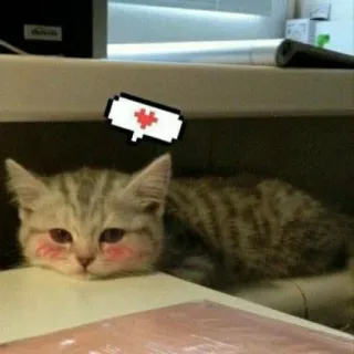 🥺 cat, kitten, cute, animal, nurse, pixel art telegram sticker