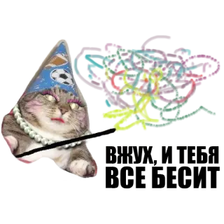✨ happy birthday kat, verjaardag, feest, dier, viering, sticker telegram sticker
