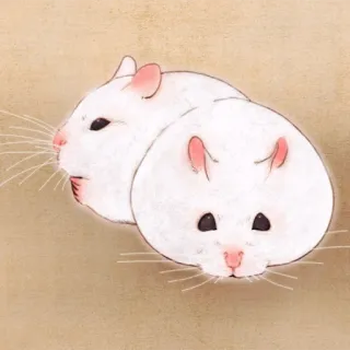 🐹 hamster, animal, pet, cute, white, rodent telegram sticker