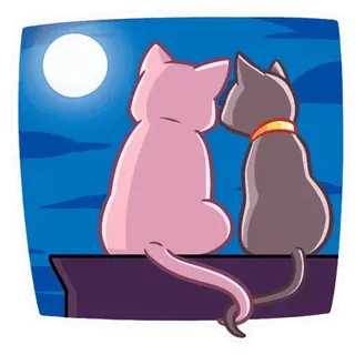 🌖 kot, księżyc, noc, zwierzęta, romantyzm whatsapp sticker