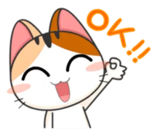 👌 OK!! 고양이, OK, 승인, 귀여운, 만화 telegram sticker