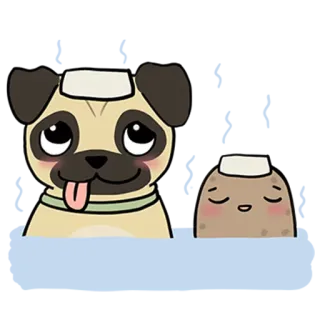 😬 Mops, Hund, Tier, süß telegram sticker