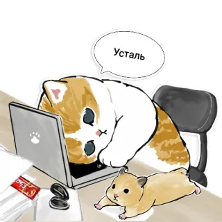 😔 Усталь Katze, Hamster, müde, Laptop, süß, Tier telegram sticker
