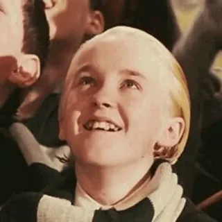 🐾 Draco Malfoy Harry Potter 해리 포터, 드레이코 말포이, 캐릭터, 마법사, 금발, 톰 펠튼 telegram sticker