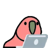 🦜 parrot, bird, computer, laptop, typing, cute, animal telegram sticker
