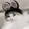 🐰