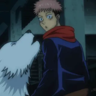 🎴 Yuji Itadori Jujutsu Kaisen Anime, Cartoon, Junge, Hund, Überraschung, geschockt telegram sticker