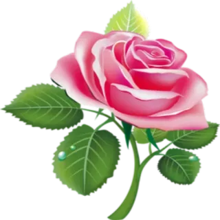 🌸 hoa, hoa hồng, màu hồng, thiên nhiên, cây telegram sticker