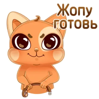 😼 Жопу готовь mèo, hoạt hình, hài hước, chuẩn bị, trò đùa telegram sticker