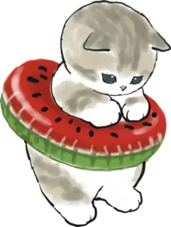 🍉 cat, kitten, watermelon, swimming, cute telegram sticker